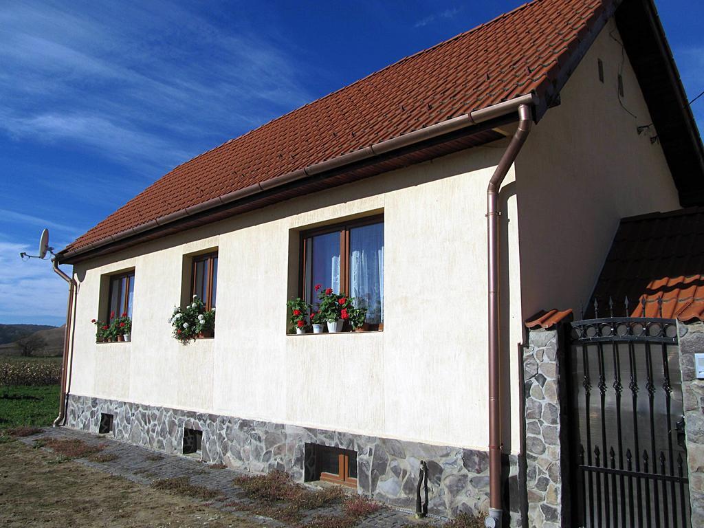 Casa Simion Villa Sibiu Exterior foto